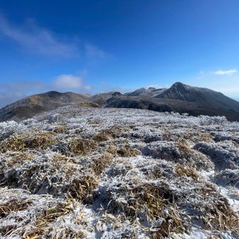 くじゅうオールスターズ❣️