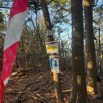 前を行くピークハントをせずに足取り早く黙々と下山する方にペースメーカーになってもらい、ピークハントをしている間に先に行かれ、追いつきを繰り返していたら結構な速さで下山できました（笑）