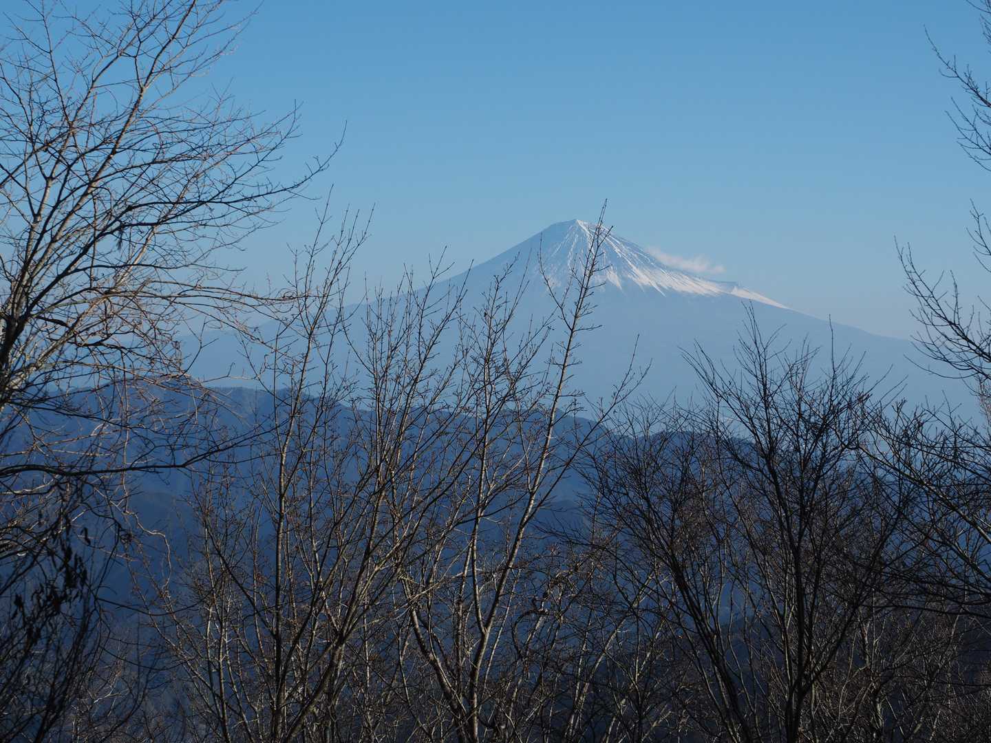 富士山(薬師岳手前より)