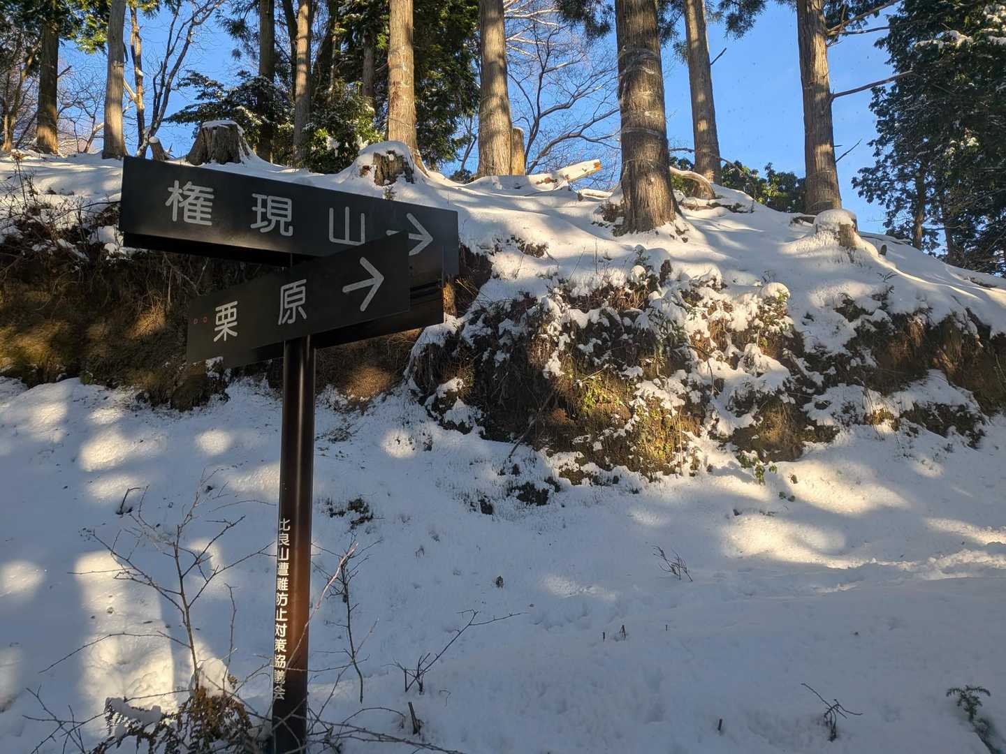 権現山🏔️は➡️にー🚶