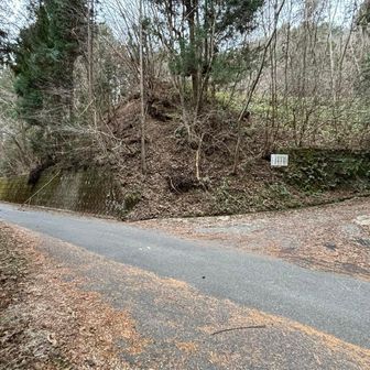 道路に出ました