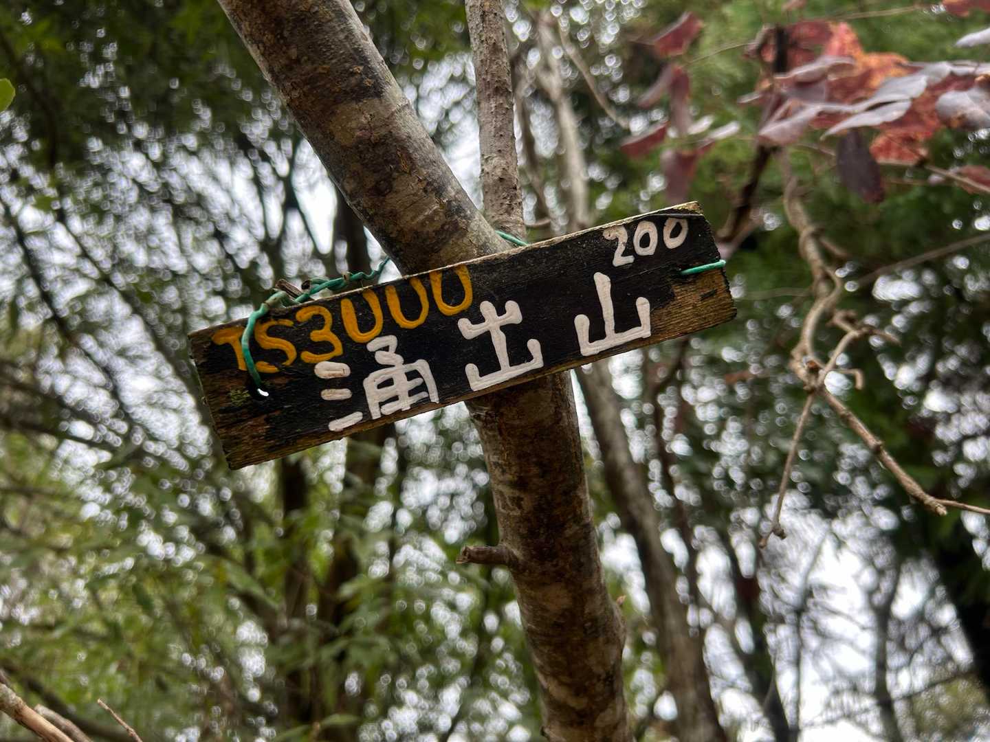 涌出山山頂に到着！