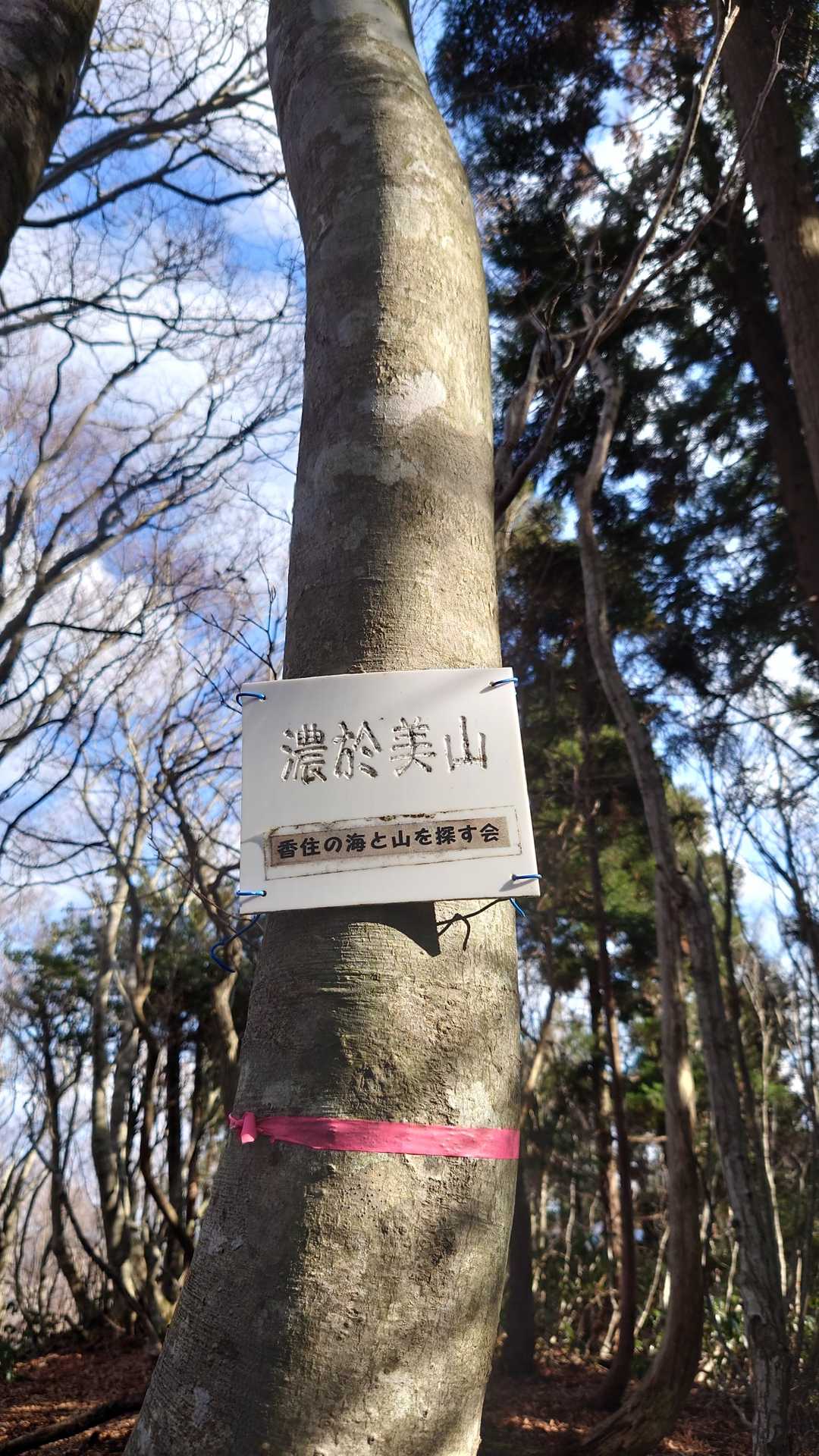 濃於美山の写真