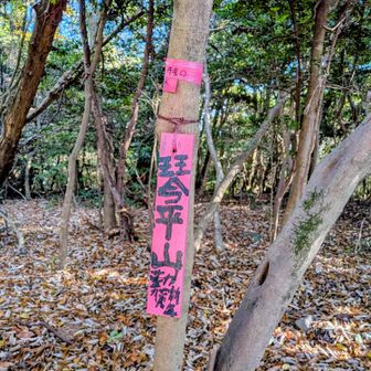 赤い山頂標識もありました😊
