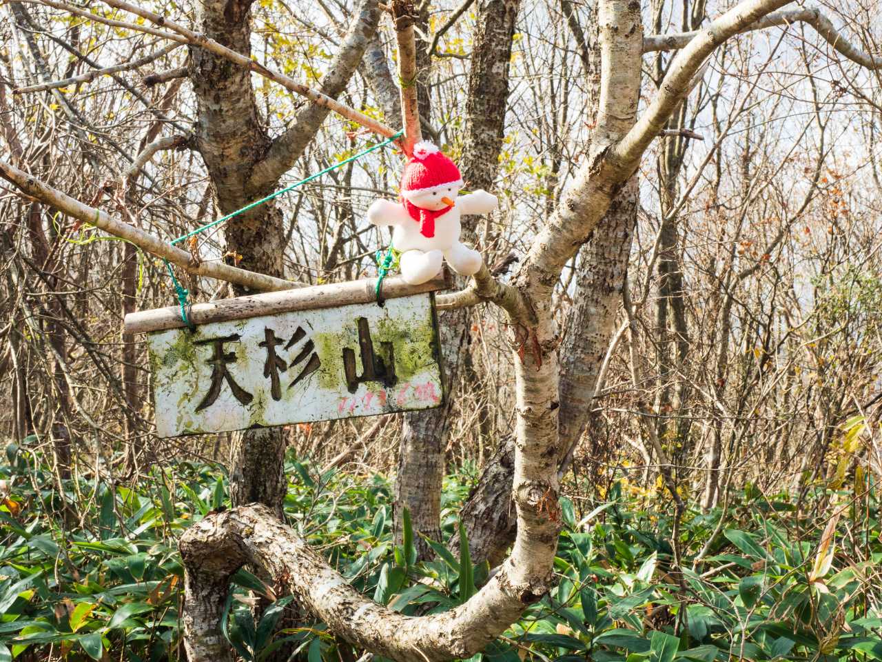 天杉山に着いた。ここで整備は終わっている。