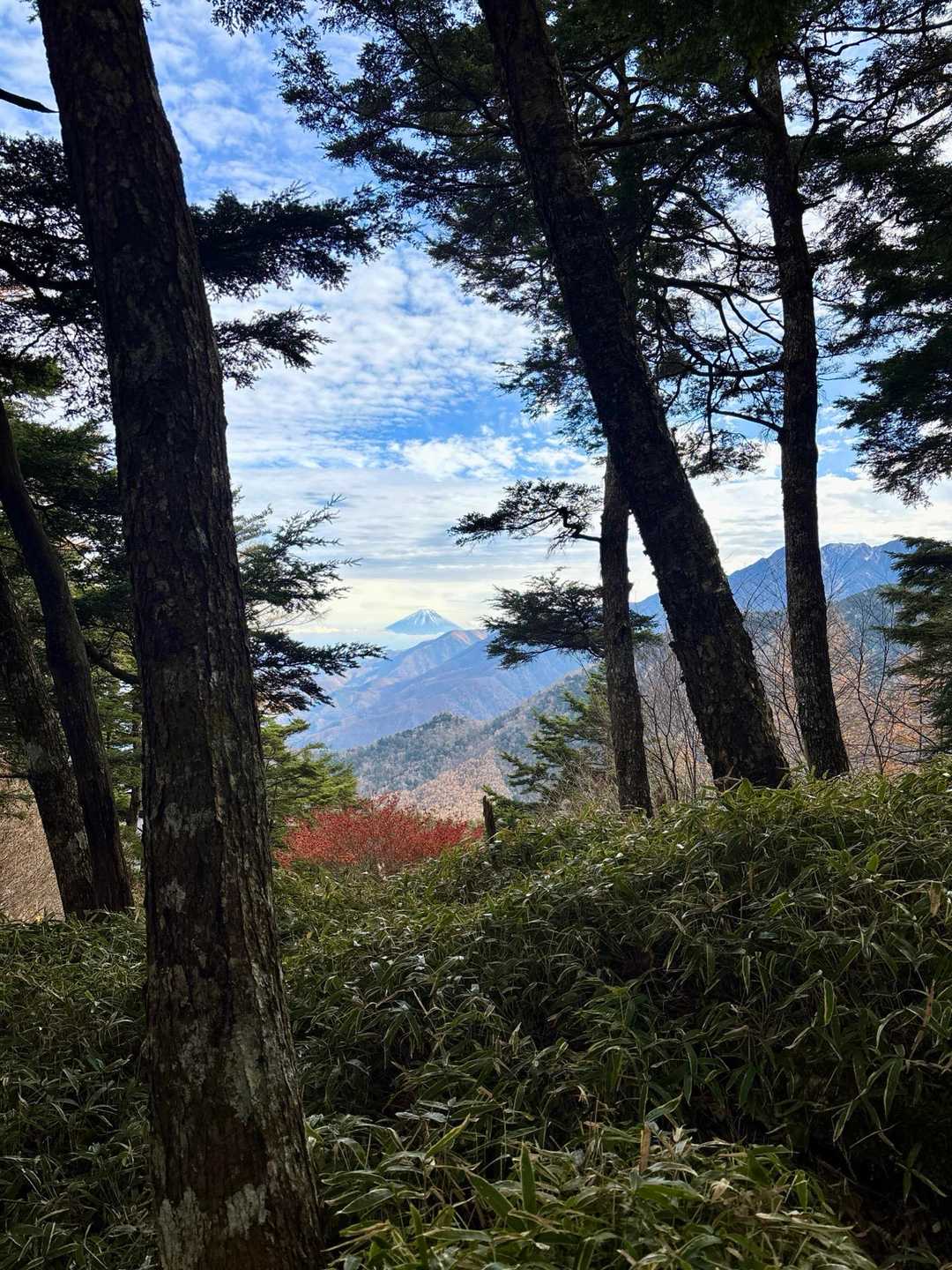 時折顔出しの🗻富士山
