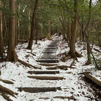 登りは、体が温いので雪が心地いい