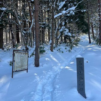 こちらに出るのですね🤔