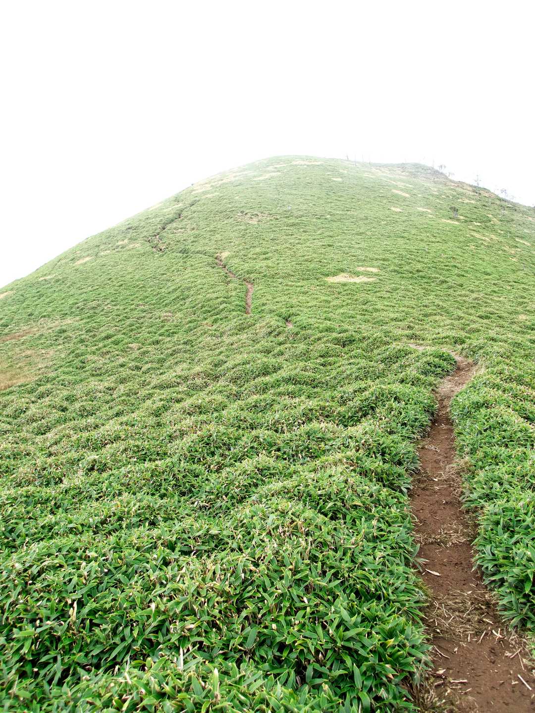 次郎笈登山口-次郎笈 周回コースの写真