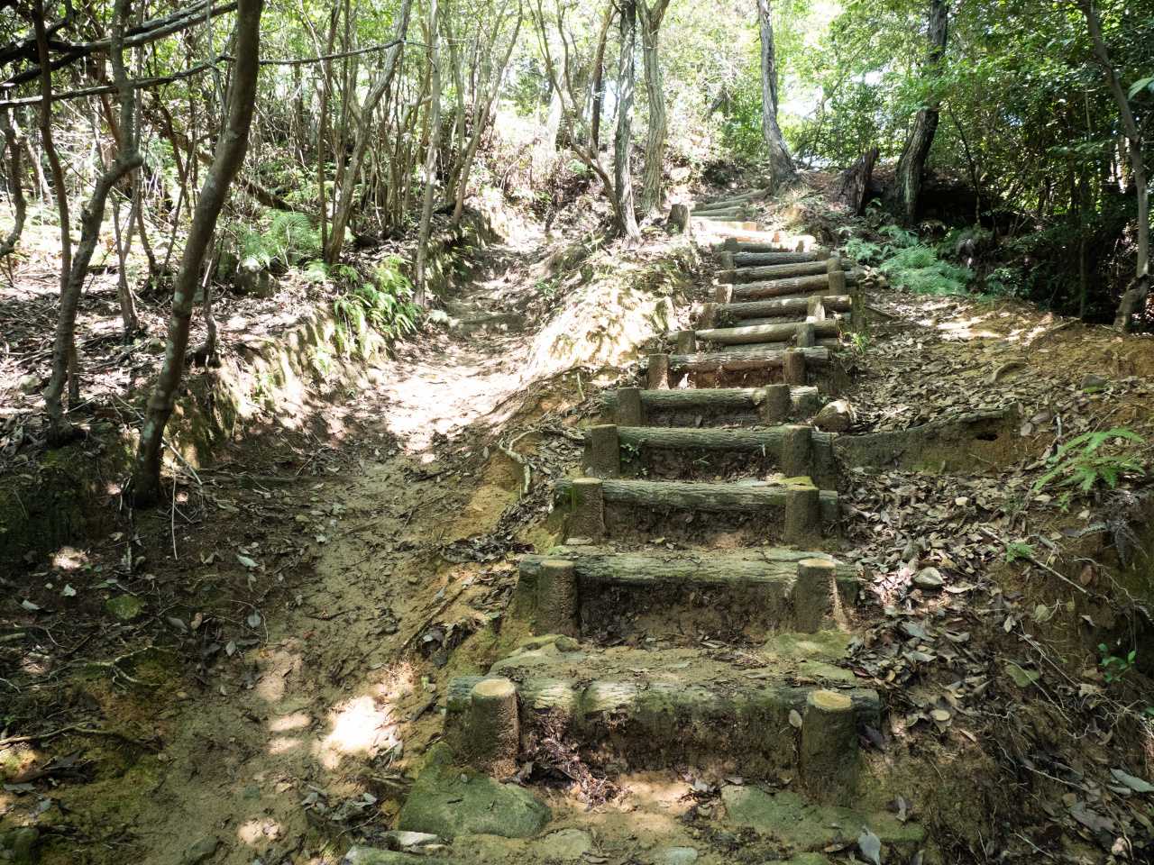 登山道は階段から始まる。