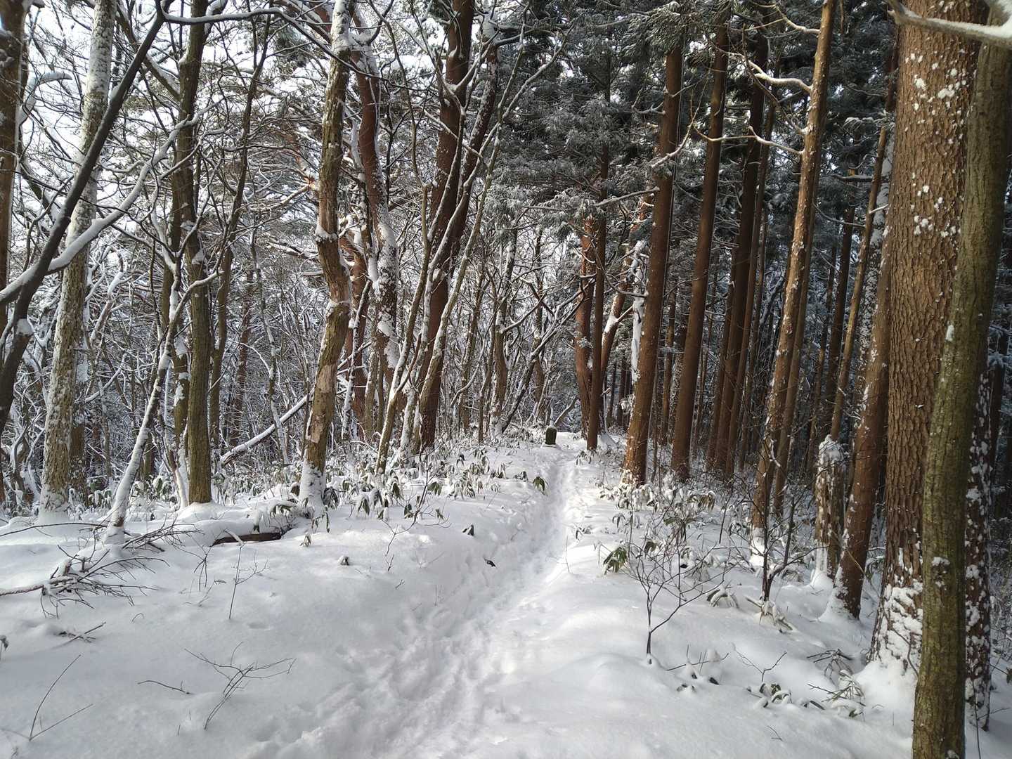 金山滝登山口-女人堂-前岳-中岳-太平山 往復コースの写真