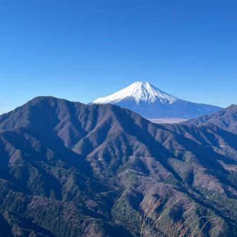 赤岩からの富士山✨
左手の御正体山も右手の杓子山も未踏なので、来年は登ってみたいなぁ。でもアクセスもっと大変なんだよなぁ🤔