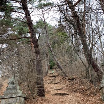 私は、神社は後から寄る派。
先に寄る方の方が多い様です。