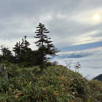 下山は雲海に飛び込むような急な下り