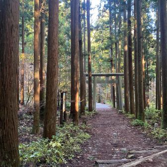 はい！無事下山