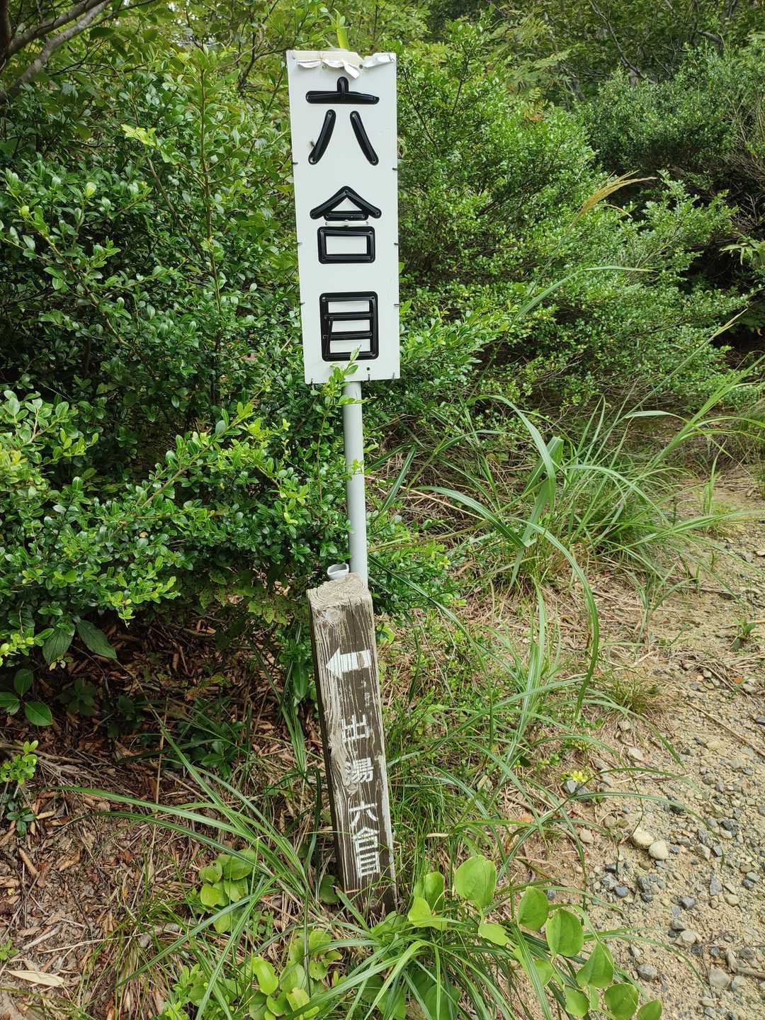 五頭山スキー場コース登山口-五ノ峰 往復コースの写真