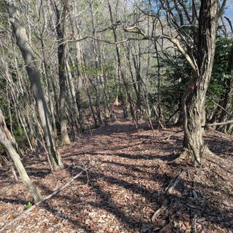 下山開始🚶‍♂️
間違えた方向に進んでいきます🚶‍♂️