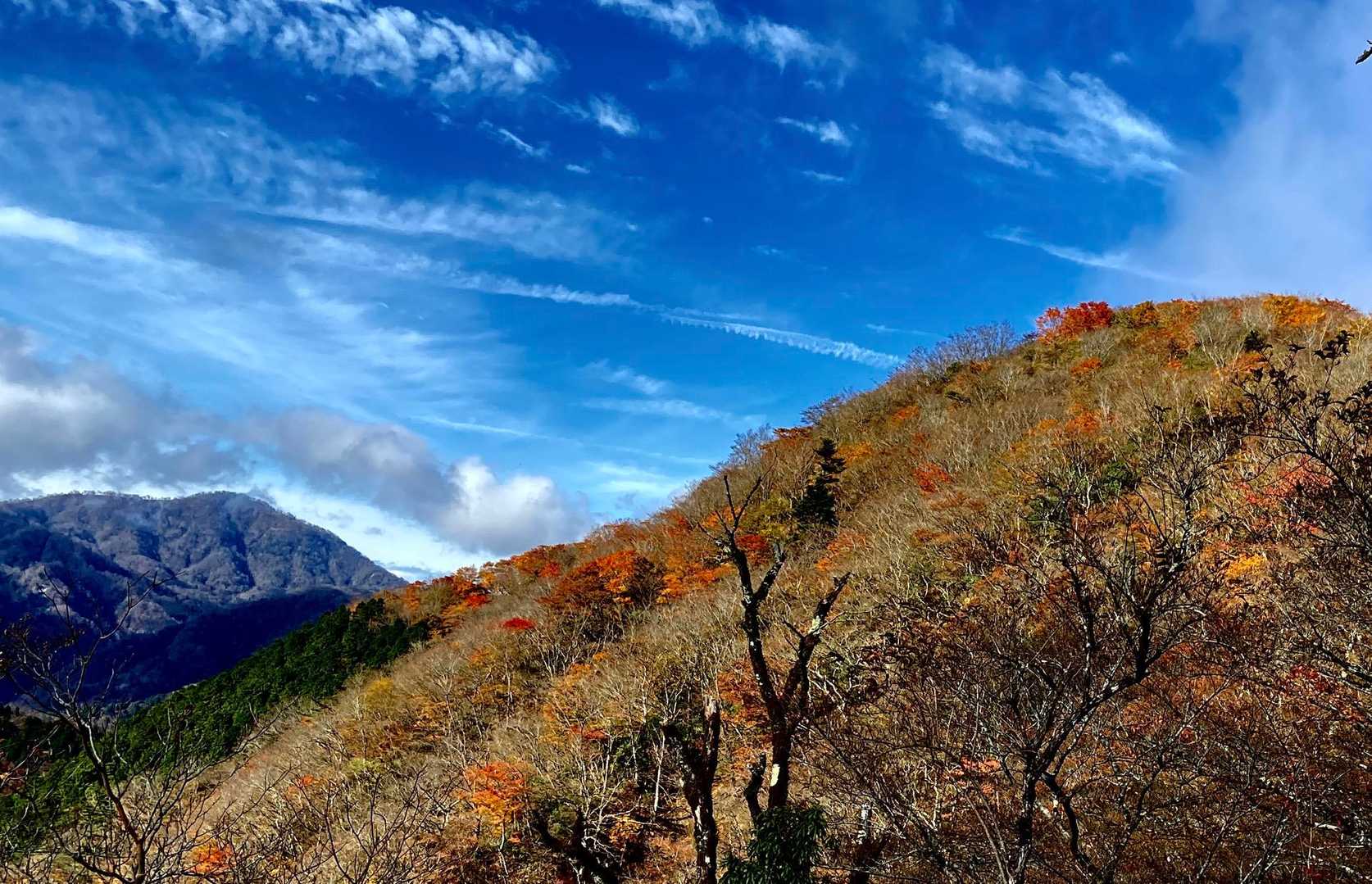 後沢乗越-鍋割山 往復コースの写真