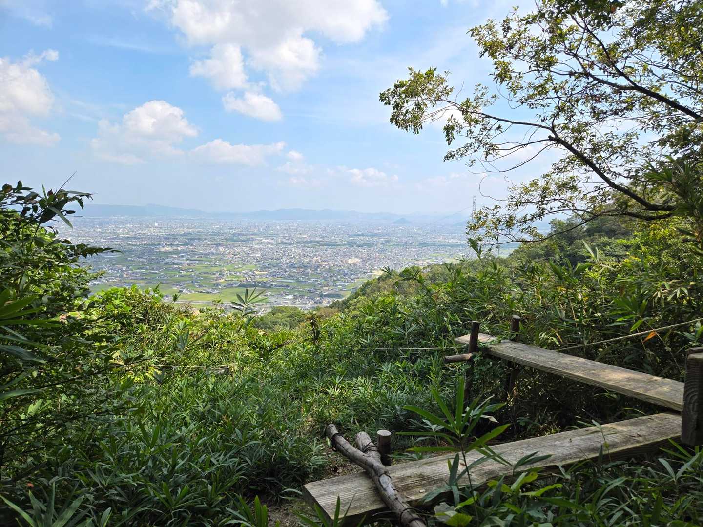 堂山登山道入口-堂山北嶺 往復コースの写真
