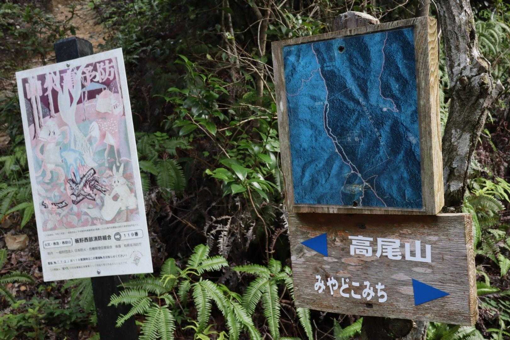 どっちに行こうかなぁ🐖💦💦