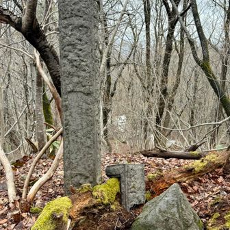 全く同じ石材🪨
ちなみに献灯は倒木で傾いているので
個人で修復は出来ないのだ