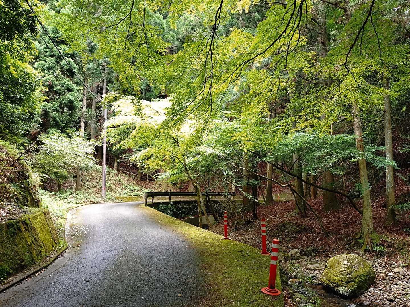 追分駅-音羽山-大谷駅 縦走コースの写真
