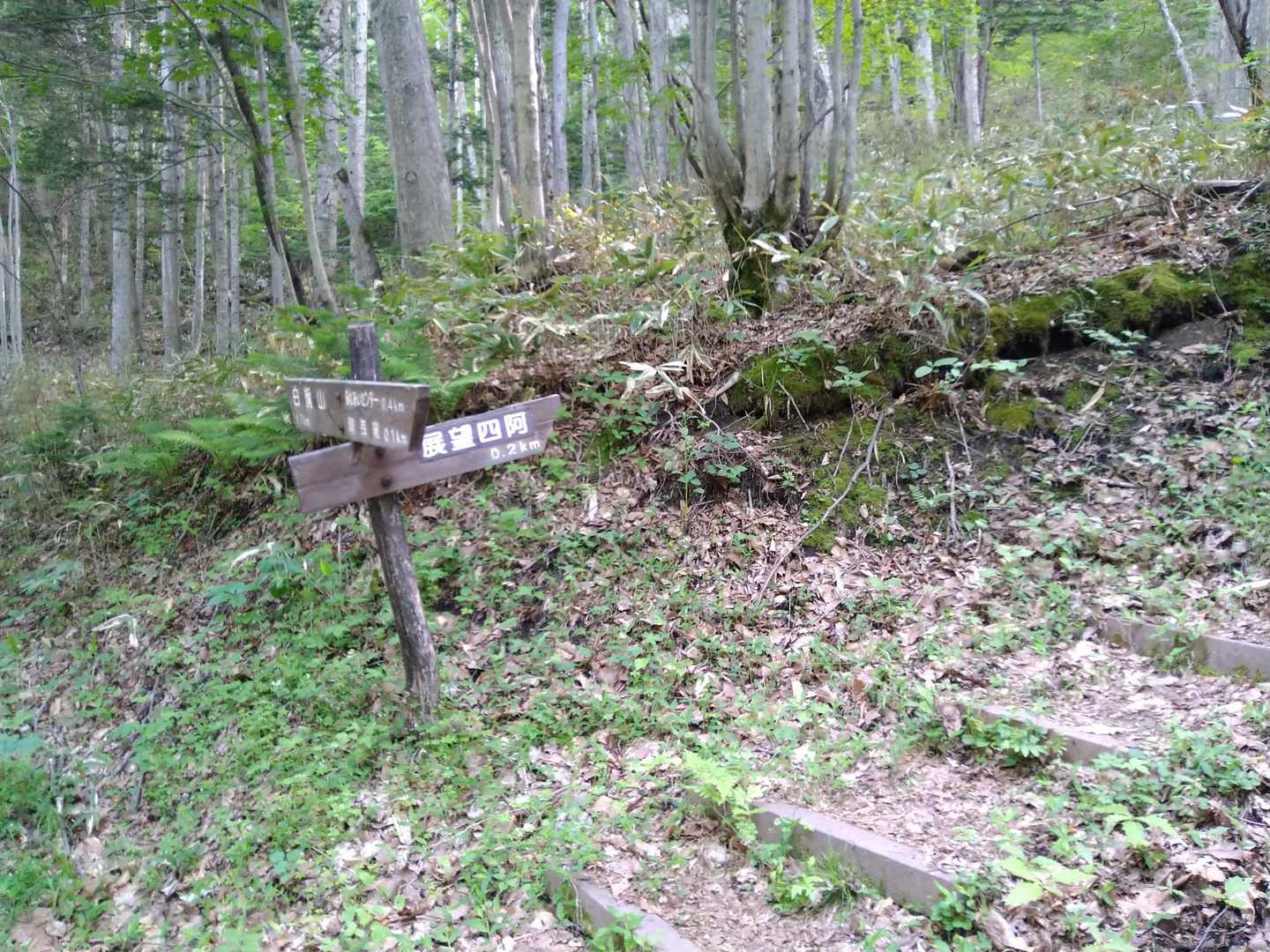 こちらから登ります