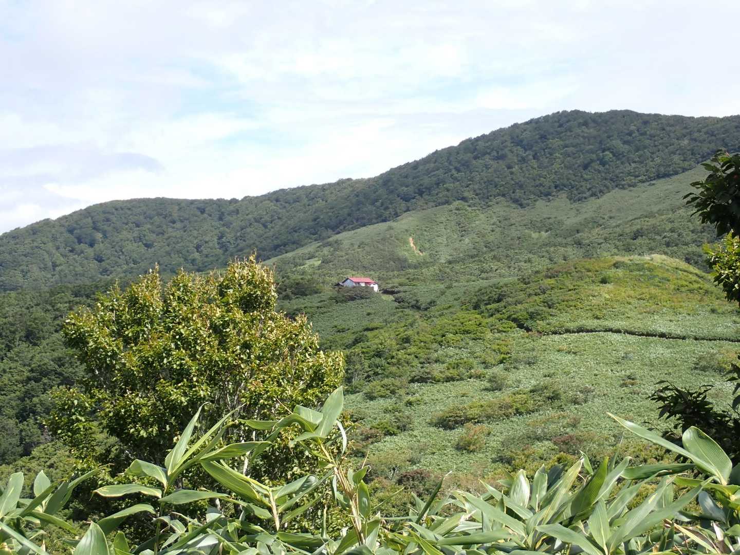 この眺めも楽しみの一つ
大草原の小さな家( ˊᵕˋ )