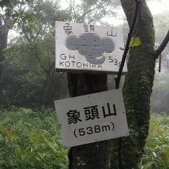象頭山（ぞうずざん）