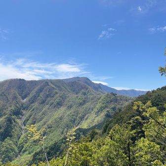 頂上から白岩山と雲取山