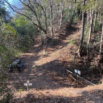 分岐点。先ずは左側から次の山頂に向かいます