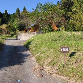 周回で、登山道を下山する。
こちらは入山禁止になっていない。