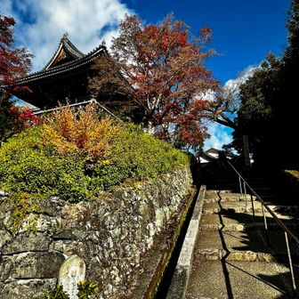 山門が見えてきた