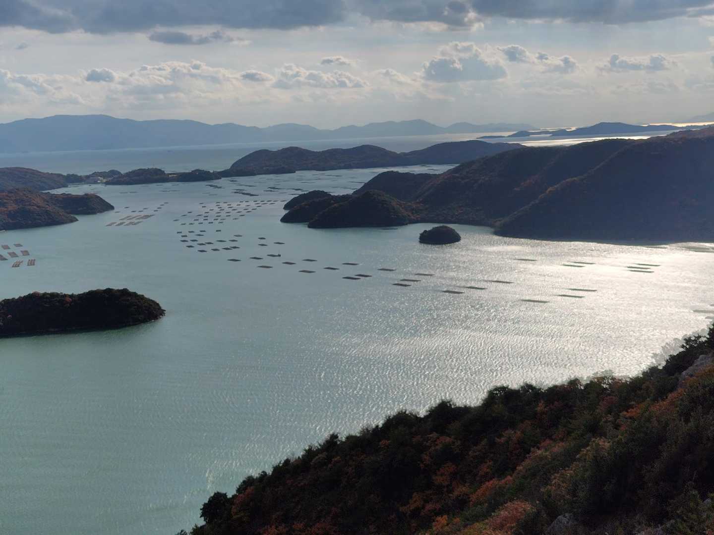 夕立受山 往復コースの写真