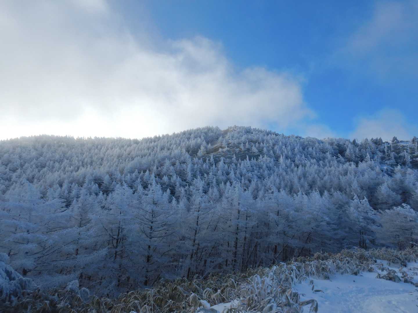 横川山の樹氷がお出迎え