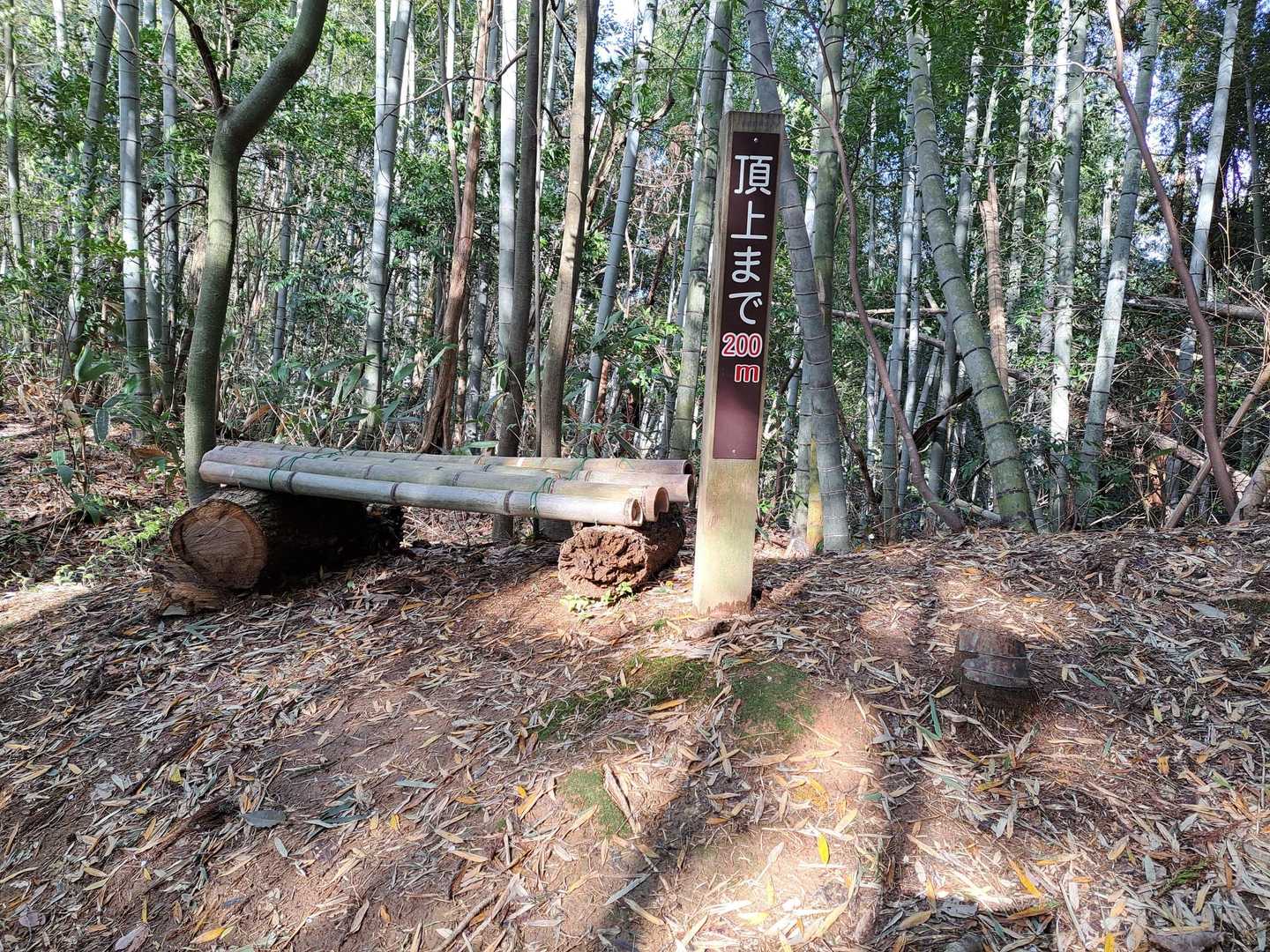 若須谷バス停-熊野城跡登山口-要害山 往復コースの写真