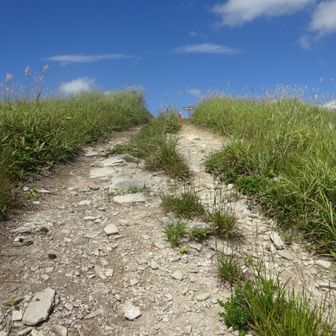 深入山へ