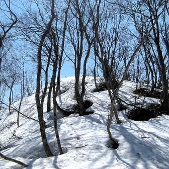 山頂へのビクトリーロ一ドを 一歩一歩     青空が眩しい