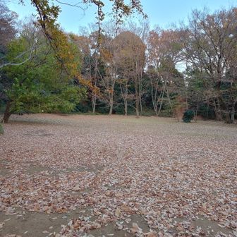 いいねぇ…
ベンチに座ってしばし和む…
……焼き菓子食べるの忘れてた……😅