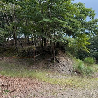 ここは道迷いした分岐
右でも左でもなく、真ん中の尾根を行くのが正解