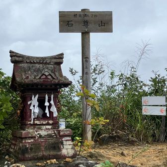 🙌 官ノ倉から石尊山は明るい登山道だった
