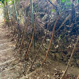 杖がたくさん
思いやりやね～😊