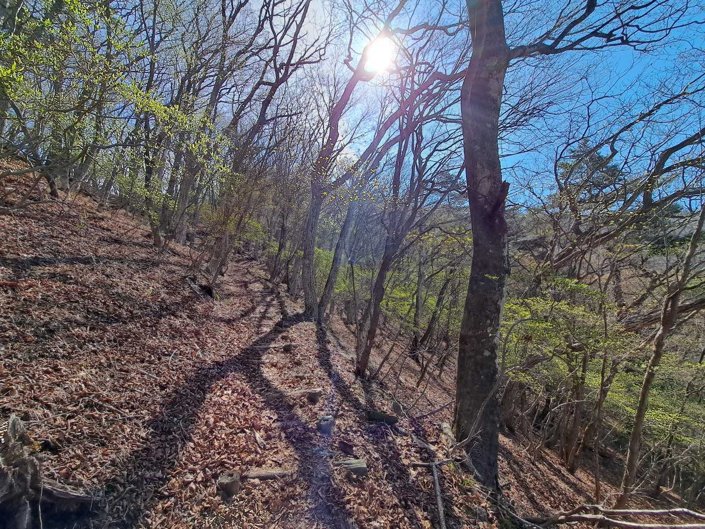 　荒山に向かっては危険箇所は特にありません。
　急斜面は九十九折り、朽ちて外れたり、段差が大きくなった木製階段や溝堀状になったところもありますが分かり易く安全に登って行けます。