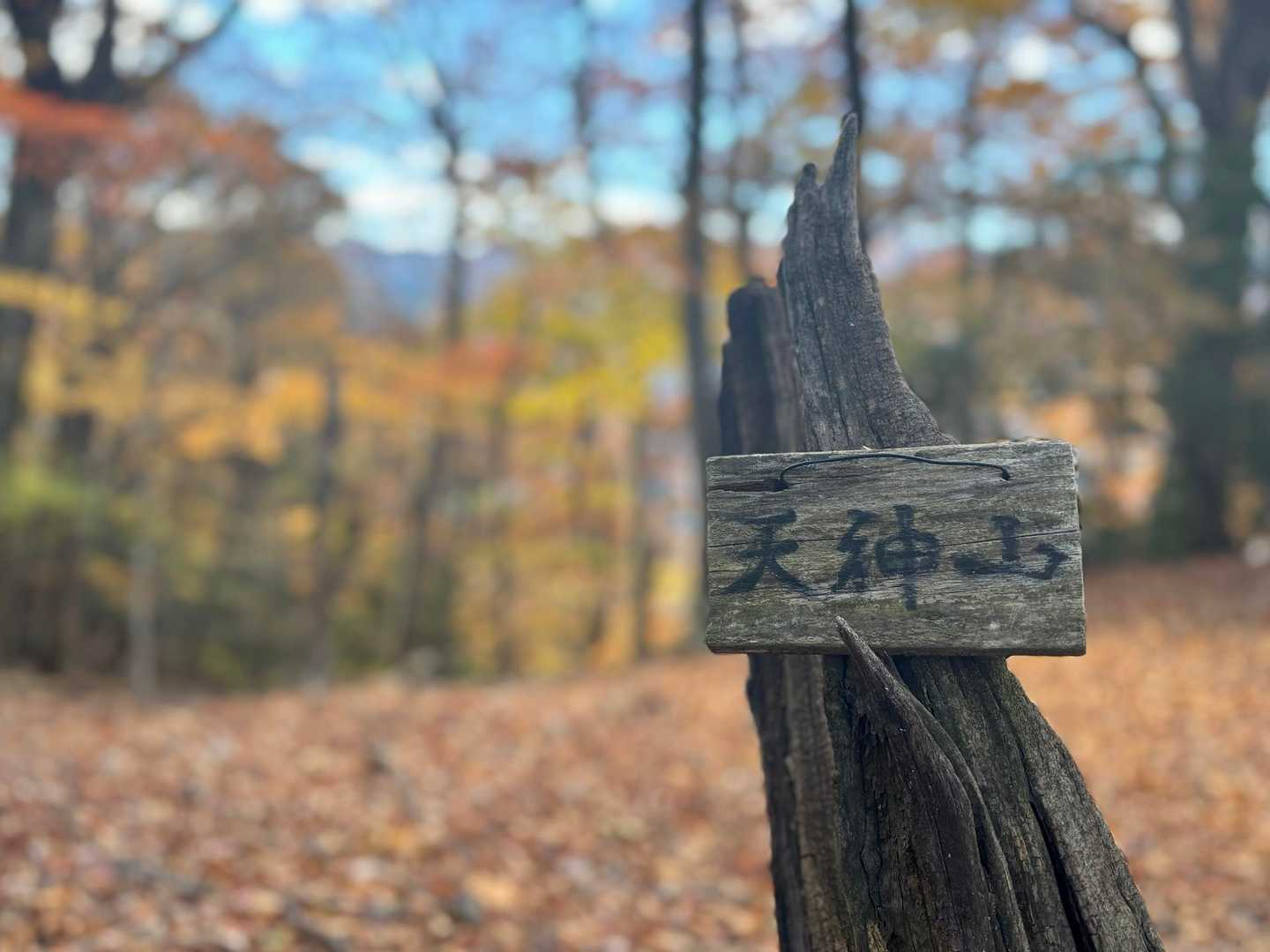 山頂標識を探したら枯れ木に(^^;;