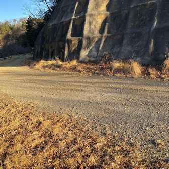 林道に出たら左に50Mほど歩くと取り付きあり