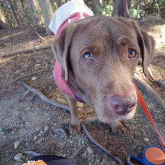 わかった
私の🍊食べていいよ