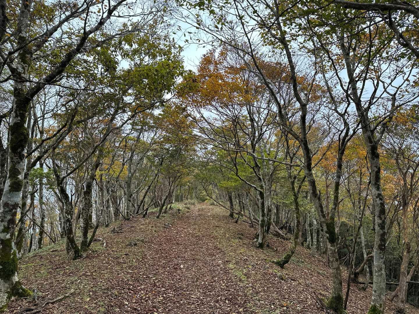 いい道
