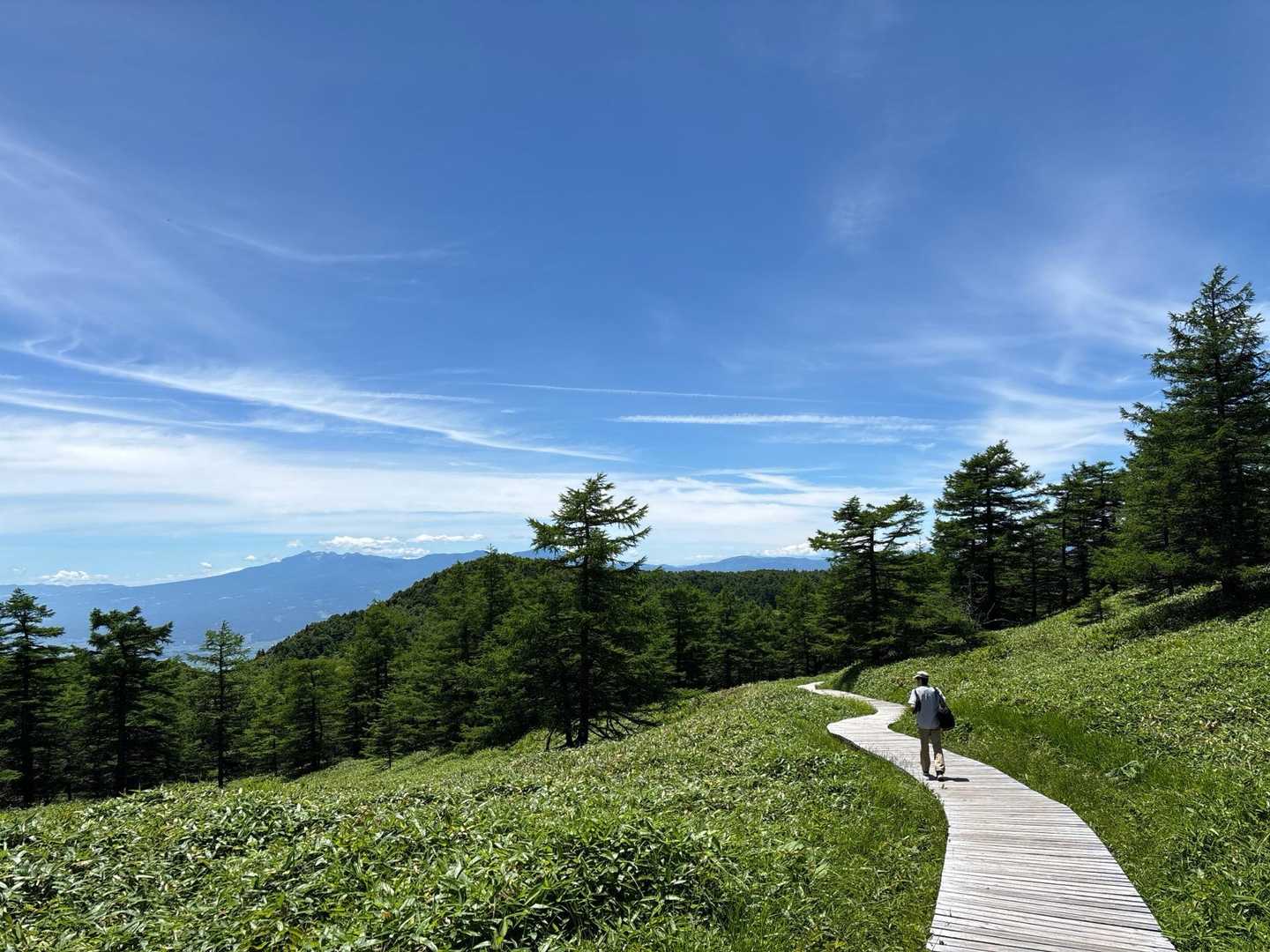 湿原へは　整備された木道を歩きます🚶‍♂️