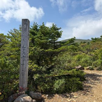 ほんとの空も見えました😄