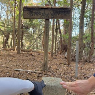 約束の時間に遅れないように
必死であがること数時間…

４座目
箸蔵寺山⛰️山頂〜🥳